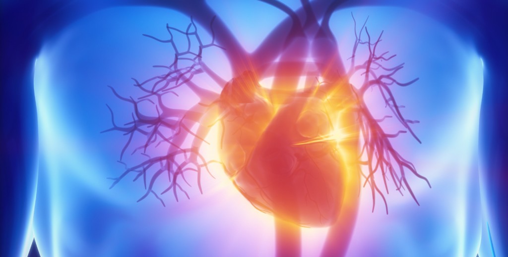 Differenza tra ecocardiogramma e ecocolordoppler al cuore?