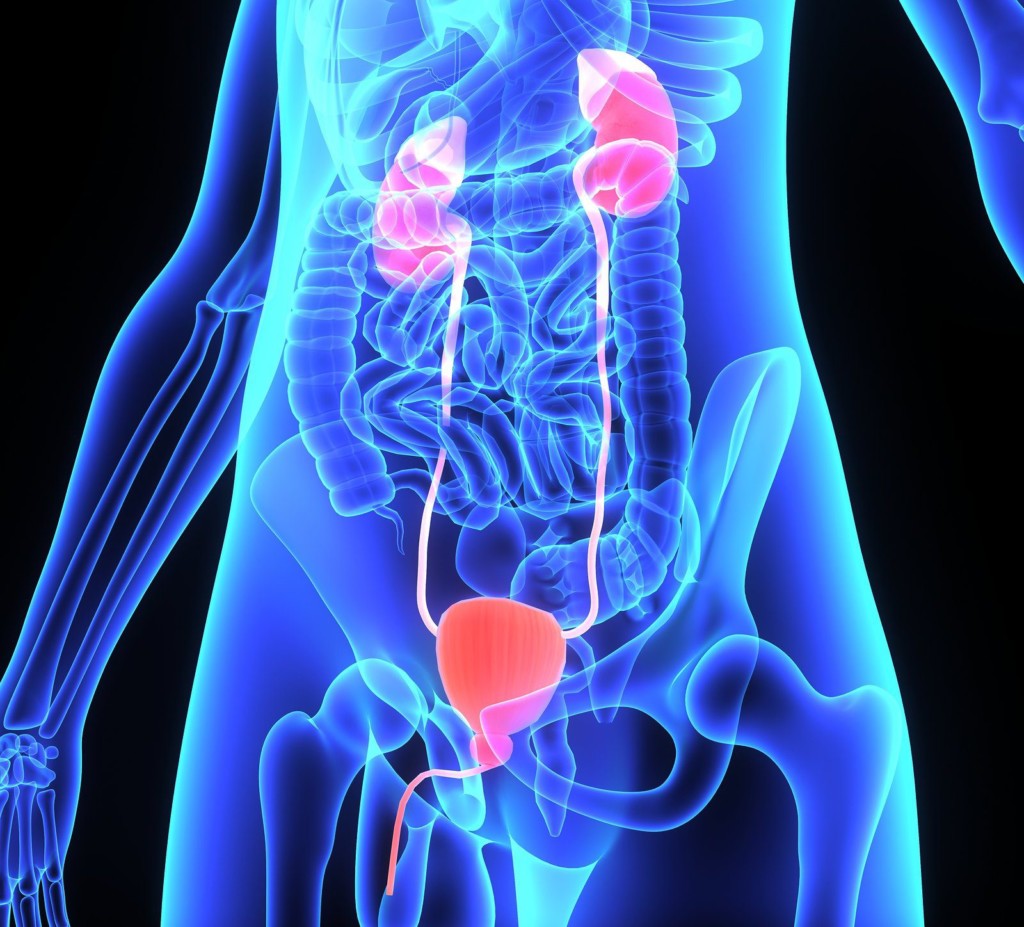 UROLOGIA E ANDROLOGIA