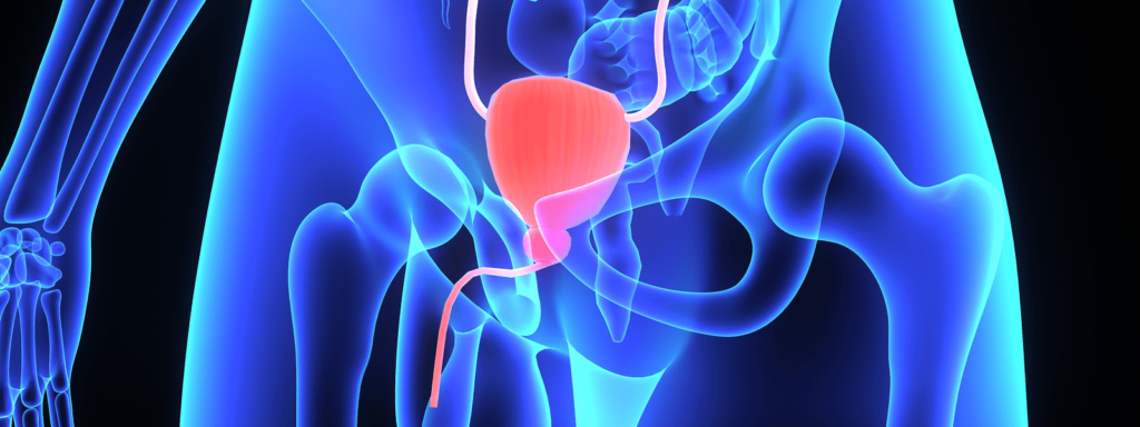 UROLOGIA E ANDROLOGIA