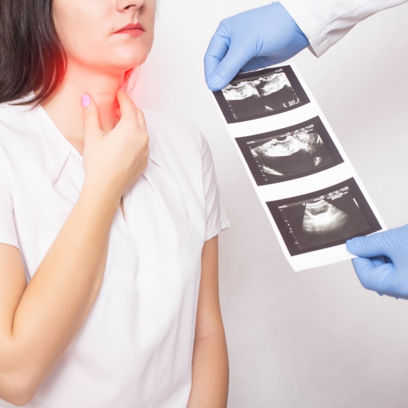 Img-endocrinologia-001